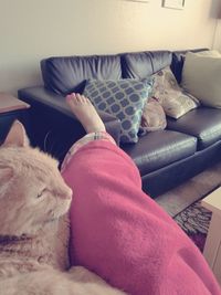 Low section of person relaxing on sofa at home