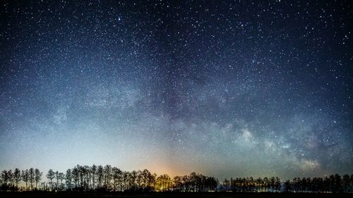 Low angle view of starry sky