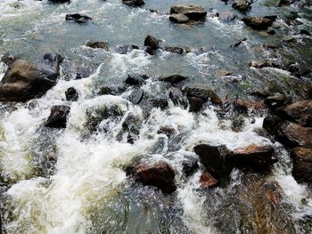 High angle view of water flowing through rocks