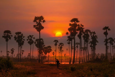 Silhouette person standing by trees against sky during sunset