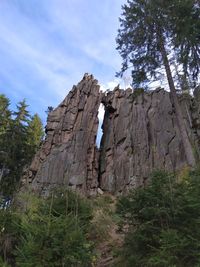 Low angle view of rock formation amidst trees against sky