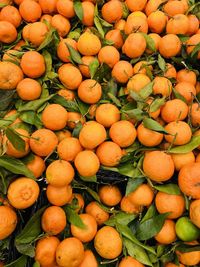 Full frame shot of oranges