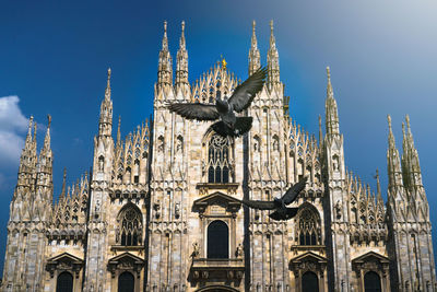 Low angle view of birds flying against cathedral
