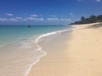 Scenic view of beach