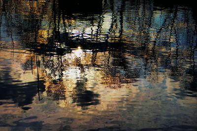 Reflection of trees in water