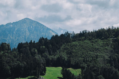 Panoramic view of trees and mountains against sky