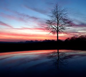 Silhouette bare tree by lake against sky during sunset