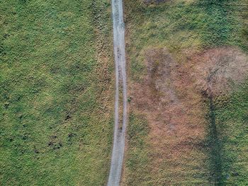 High angle view of road amidst field