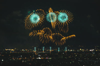 Low angle view of firework display at night