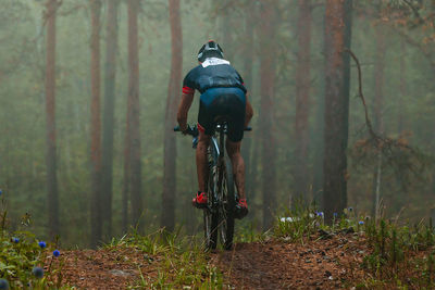 Rear view of man riding bicycle in forest