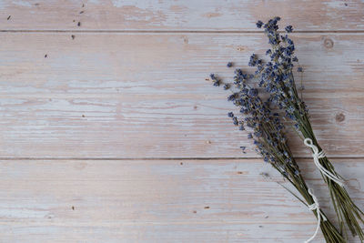 Directly above shot of wooden table