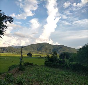 Scenic view of landscape against sky