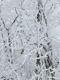 Full frame shot of snow covered land