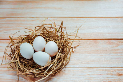 High angle view of eggs in nest on table