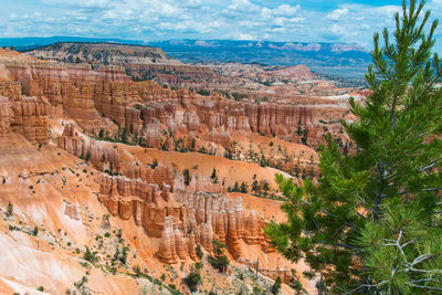 Rock formations at bryce canyon national park