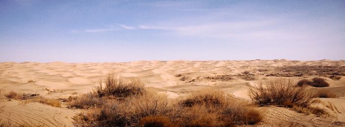 Scenic view of desert against sky