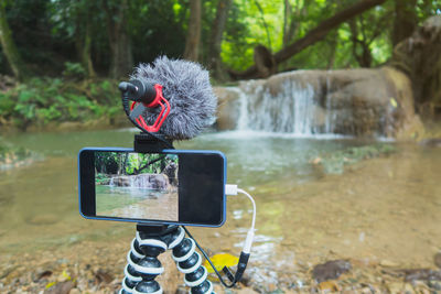 Man photographing bird on a camera