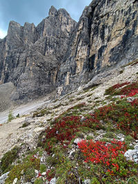 Scenic view of mountain and autumnal plants against sky, dolomites, sella, corvara, south tyrol