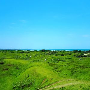 Scenic view of landscape against blue sky