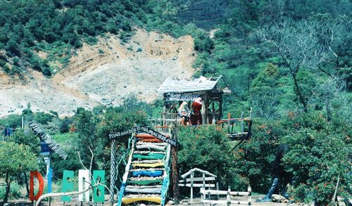 High angle view of people in forest