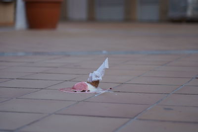 Close-up of white toy on tiled floor