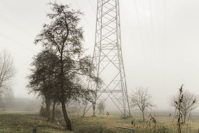 Trees on landscape against clear sky