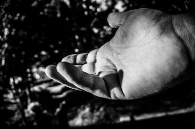 Close-up of a hand