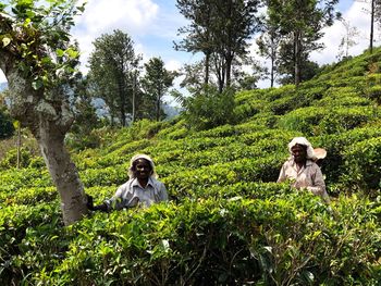 Woman sitting on field against trees in forest