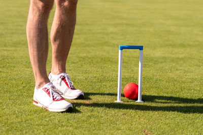 Low section of person with ball on grass