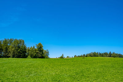 Scenic view of field against clear blue sky