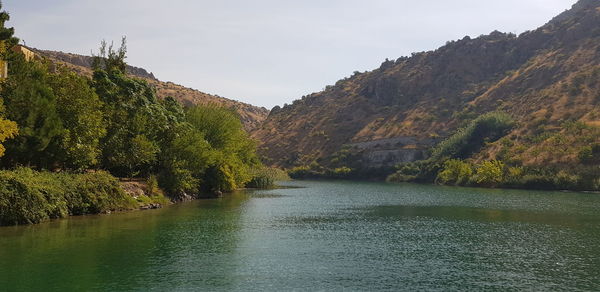 Scenic view of river amidst trees against sky