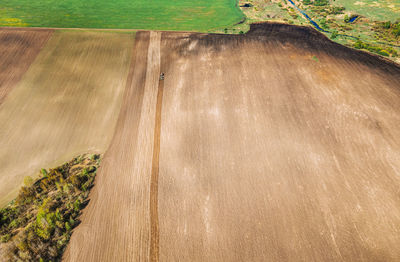 Scenic view of agricultural field