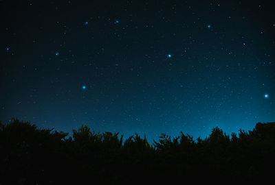 Low angle view of silhouette trees against sky at night