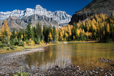 Scenic view of lake by trees against sky