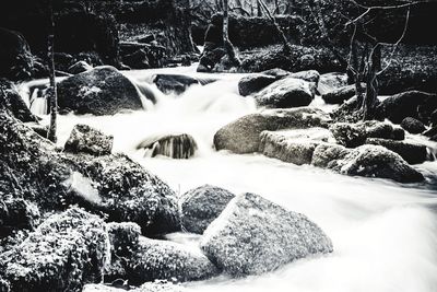 Scenic view of waterfall