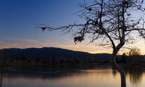 Scenic view of lake at sunset