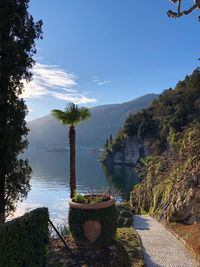 Scenic view of lake by trees against sky