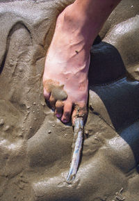 Close-up of hand holding sand