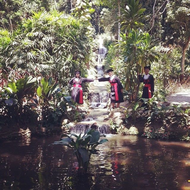 Cachoeira do Jardim Botânico