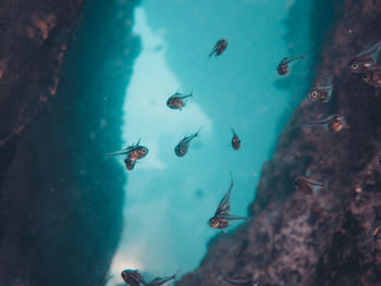 People swimming in sea