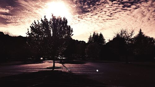 Silhouette trees against sky during sunset