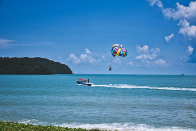 Parasailing on the waves of the azure andaman sea under the blue sky near the shores of cenang beach