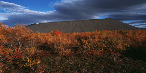 Scenic view of field against sky during autumn