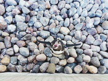 Close-up of pebbles on beach