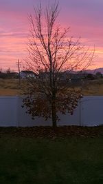 Bare tree on landscape against sky at sunset