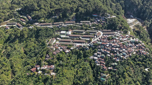 High angle view of trees and buildings in town