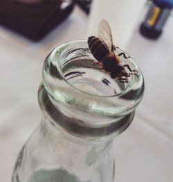 High angle view of drink in jar on table