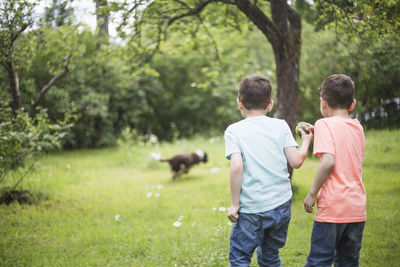 Rear view of brothers standing with ball while dog running on grass in back yard