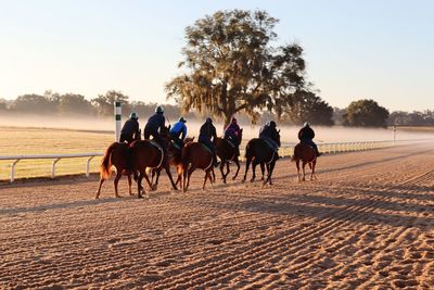 People riding horses on land against sky