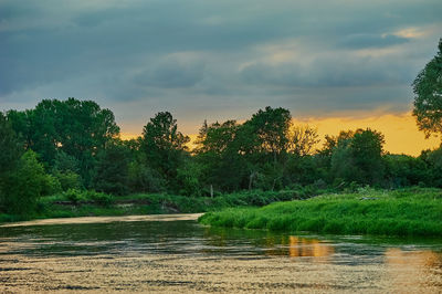 Scenic view of lake in forest against sky
